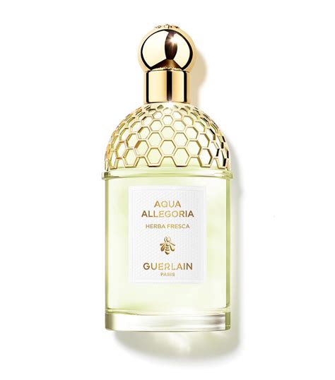 aqua allegoria herba fresca perfume.